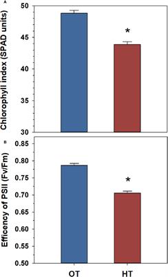 Lipid modulation contributes to heat stress adaptation in peanut